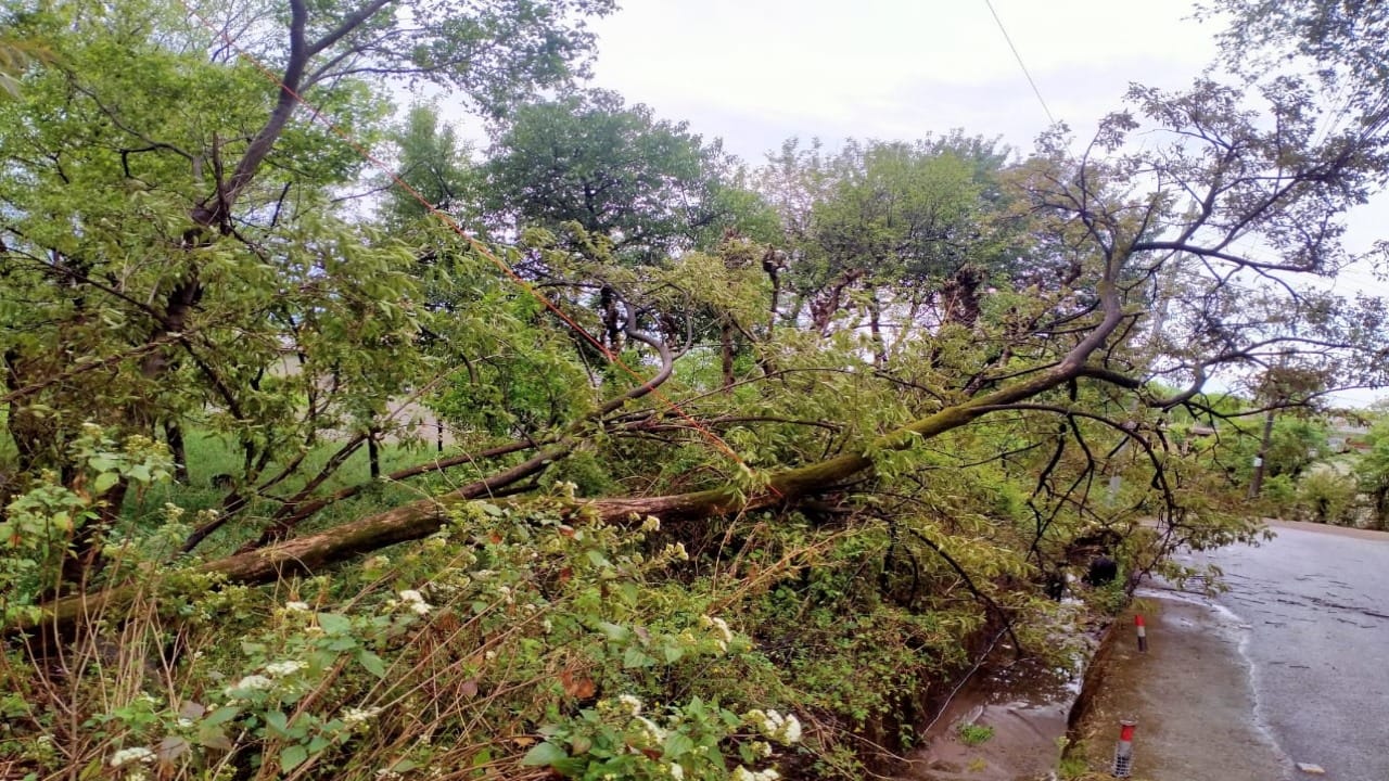 Himachal weather: Storm caused havoc in state: Roofs of houses blown away, wheat crop scattered in fields, tre