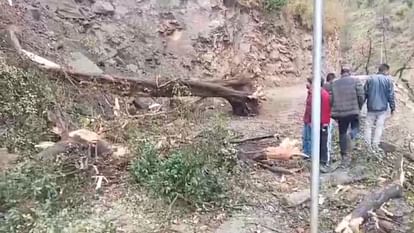Himachal Weather: हिमाचल में अंधड़ ने ली तीन की जान, 19 वाहन क्षतिग्रस्त, दस भवनों की छतें उड़ीं Himachal weather: Storm caused havoc in state: Roofs of houses blown away, wheat crop scattered in fields, tre