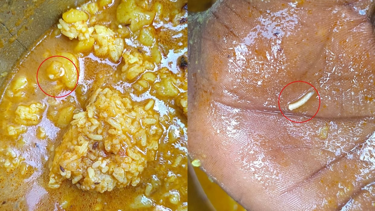 Insects found in midday meal served to children in faridpur school