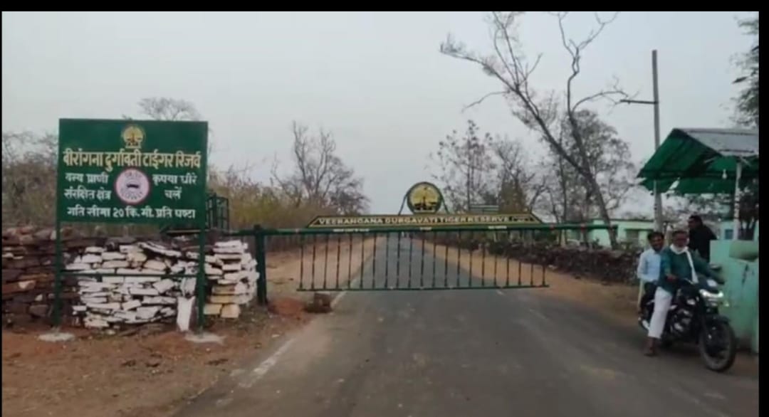 Tiger Reserve: change in boundary of Nauradehi Sanctuary from 1 apirl, entry of big vehicles closed at night.