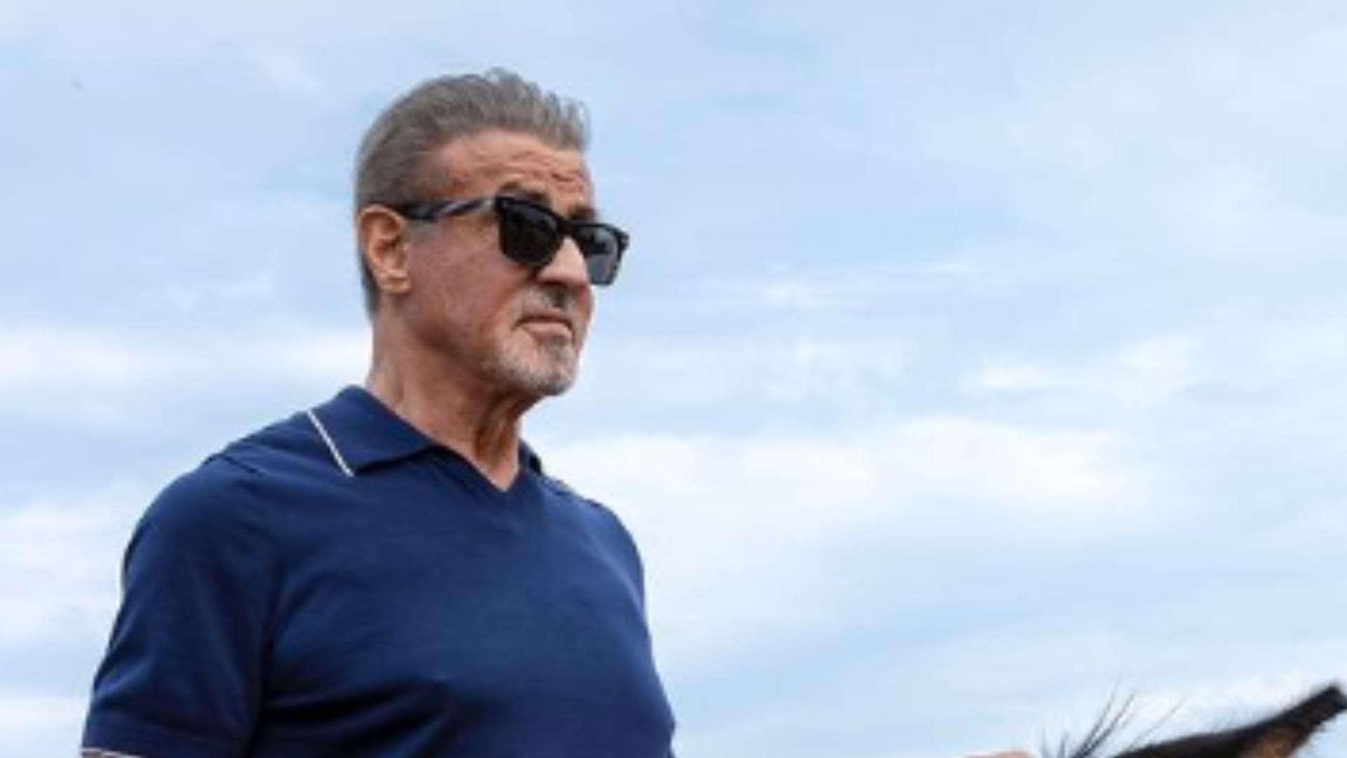 These hollywood stars featured in Hindi Films Will Smith Sylvester stallone Ben kingsley brandon routh