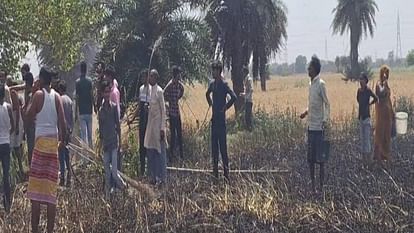 ten bigha wheat crop burnt due to fire in Mainpuri