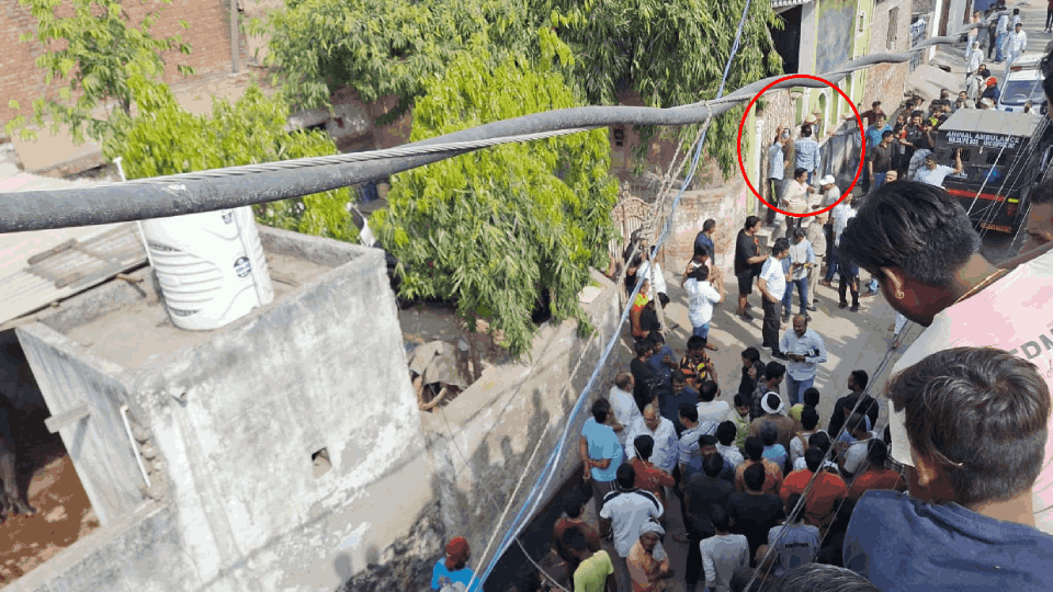 Leopard entered Jagatpur village of Burari