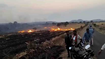Betul News: Elderly man dies due to burning in field fire