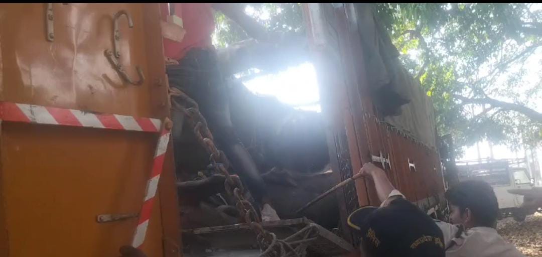 Shahdol Vehicle collides with divider, driver absconds, 20 cattle found in truck