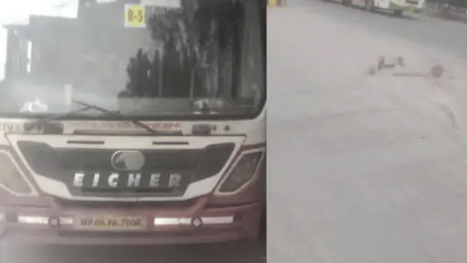 indore news davv university student accident