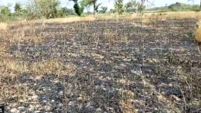 एचटी लाइन का तार टूटकर गिरा, गेहूं की फसल जली