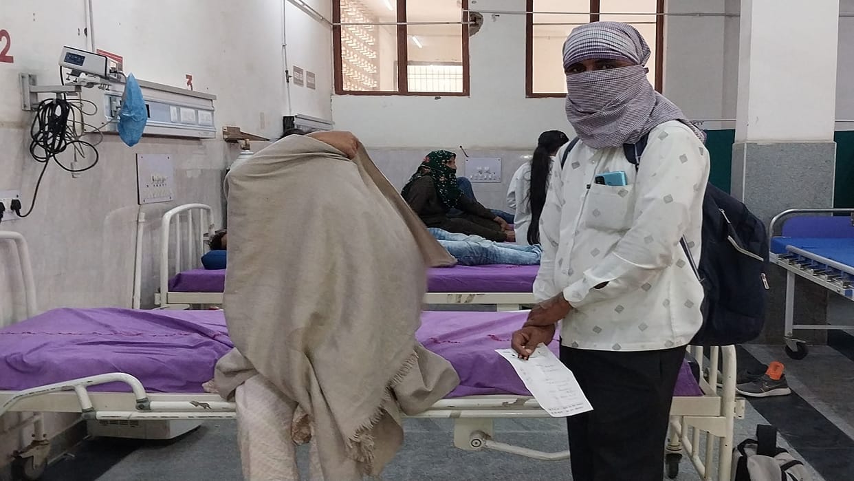 More than 100 people were stung by bees in Diet Institute, swarm chased 18 kilometers and reached hospital