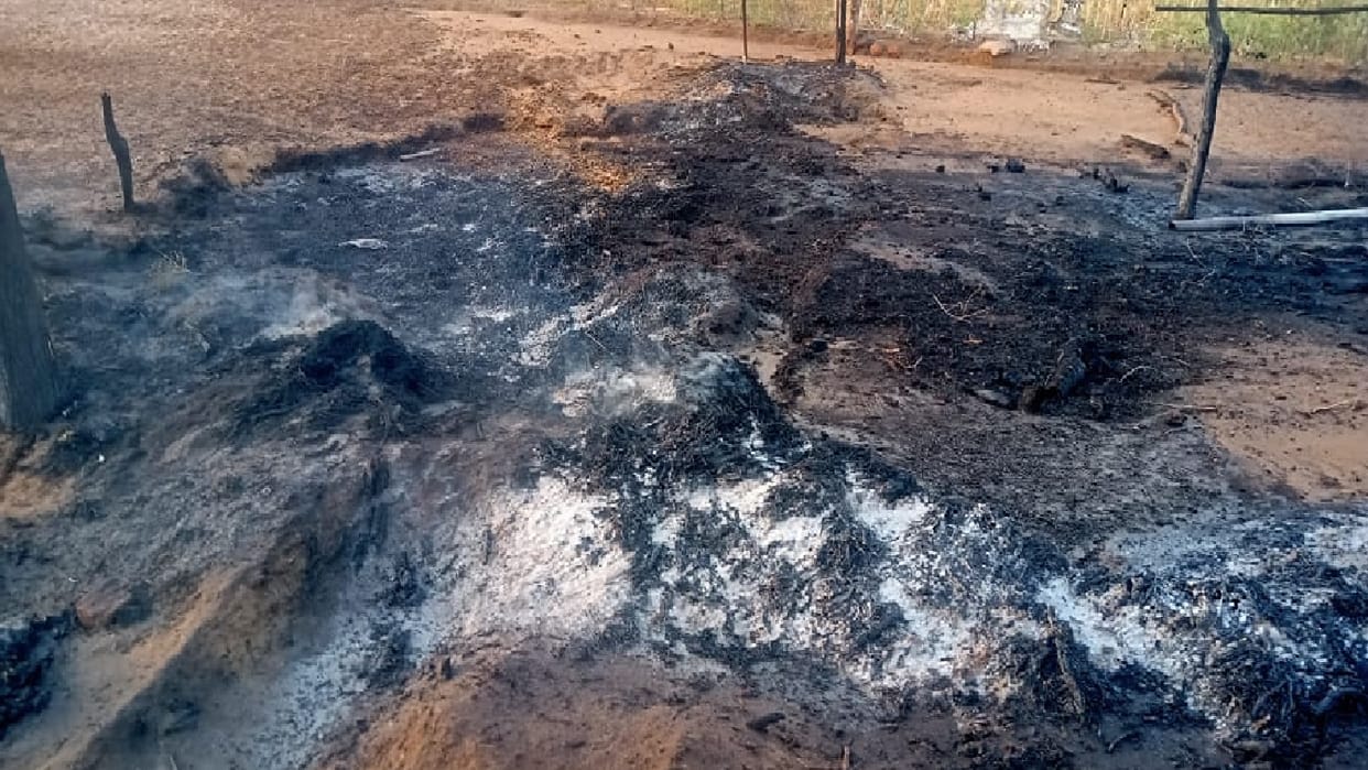 Fire broke out in the enclosure in village Dhadhot in Mahendergarh, four goats and eight children got burnt
