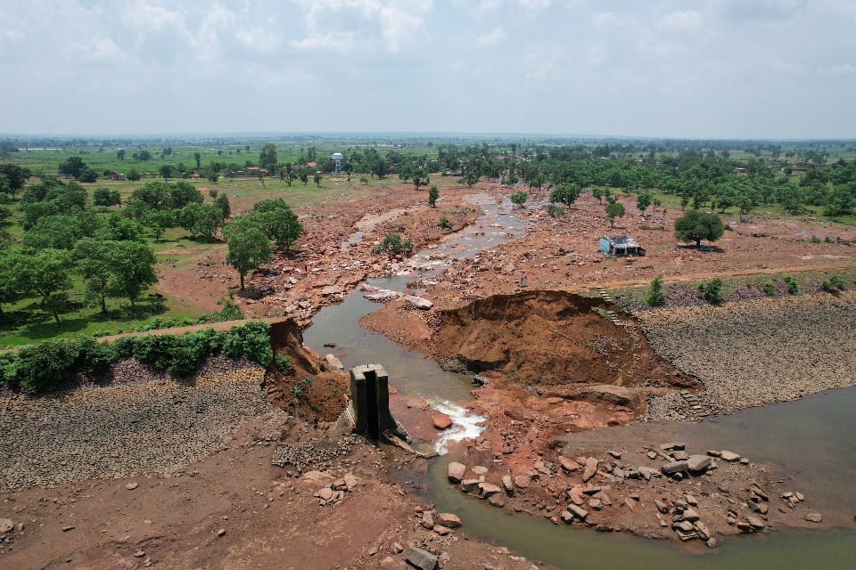Cattle are facing problems for water after the pond of Damoh's Pondi village burst