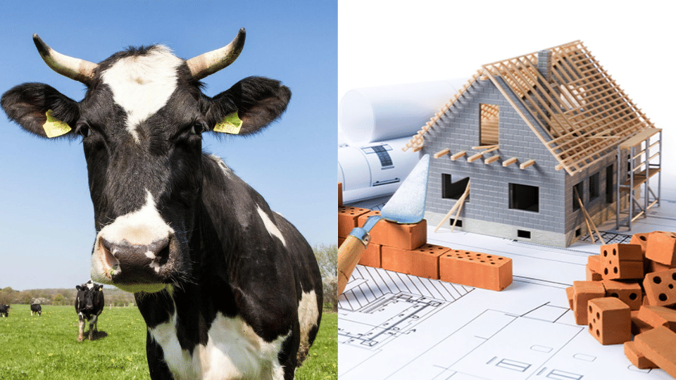 iit indore innovation eco friendly home construction by cow products green house