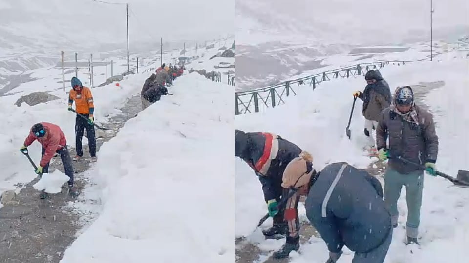 Snowfall In Kedarnath Dham three feet snow Stil Now laborers Removing Snow Photos