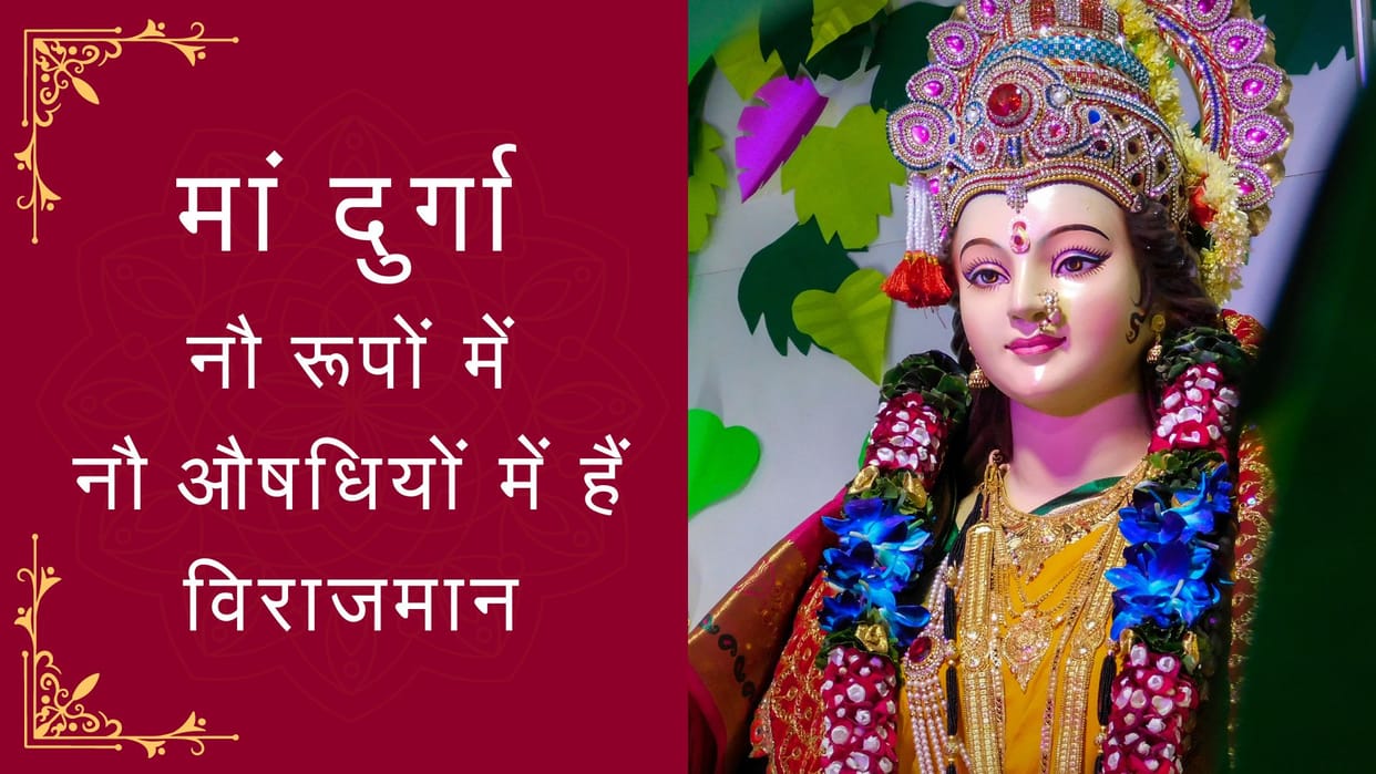 Navratri 2024 Special Story of nine durga roop in nine medicine