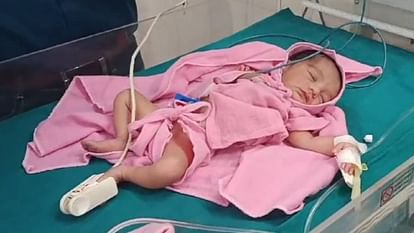 Dausa News: खेतों में लावारिस पड़ी मिली एक दिन की नवजात बच्ची, पुलिस परिजनों की तलाश में जुटी Dausa News One day old newborn baby girl found abandoned in the fields