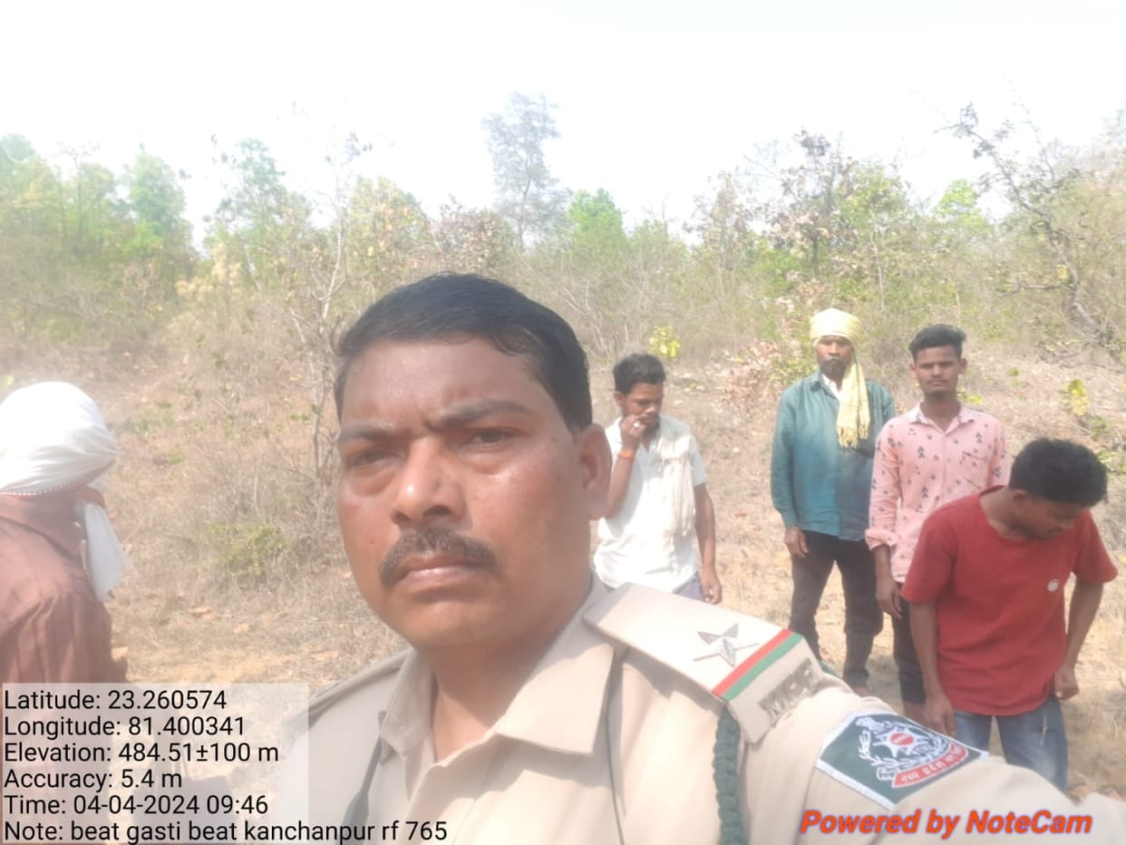 Panic due to presence of tiger in Padri forest in shahdol madhya pradesh
