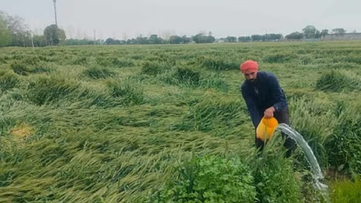 sowing of Rabi crops the ground water level fell in many states UP 14% less rain Assam received 13% less rain