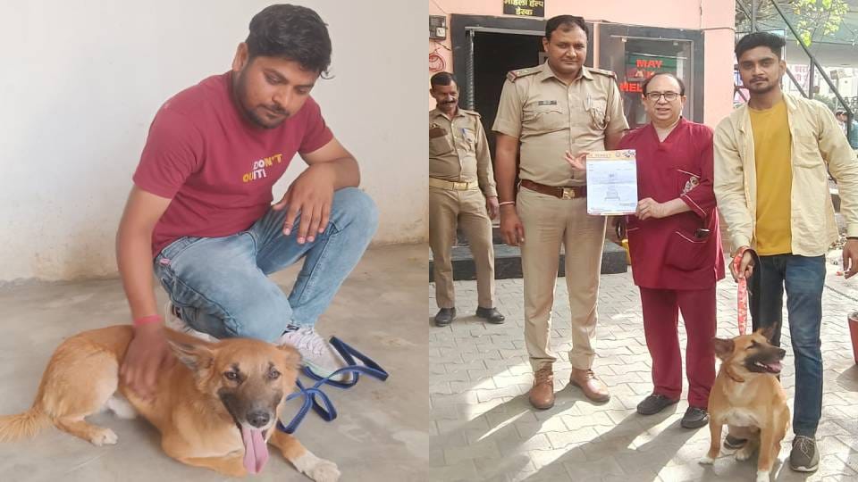 dog captured in house has been sent to shelter After murder of young man in Agra