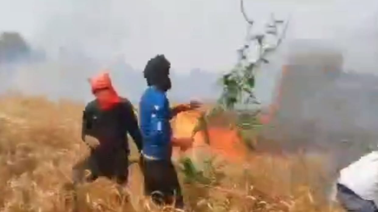 fifty bighas wheat crop turned into fire in ballia front of farmer