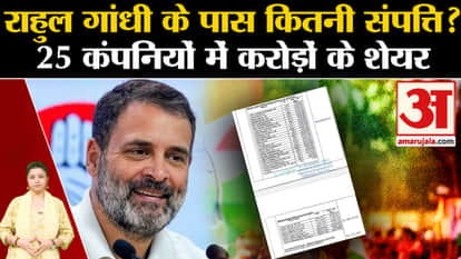 Rahul Gandhi Net Worth: How much property does Rahul Gandhi have? Know the annual income of Congress leader