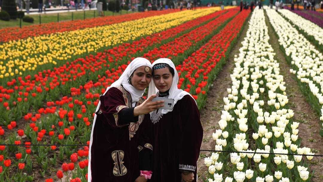 Tulip Garden Srinagar: More than one lakh people saw tulips blooming in kashmir in just 11 days