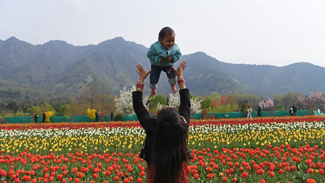 Tulip Garden Srinagar: More than one lakh people saw tulips blooming in kashmir in just 11 days