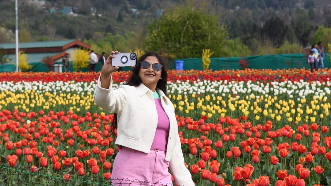 Tulip Garden Srinagar: More than one lakh people saw tulips blooming in kashmir in just 11 days