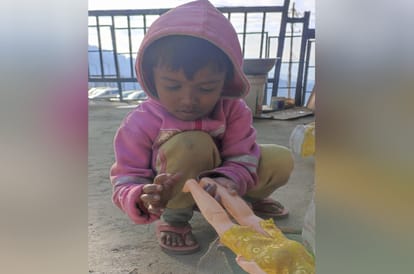Three year old girl dies after being hit by vehicle in shimla