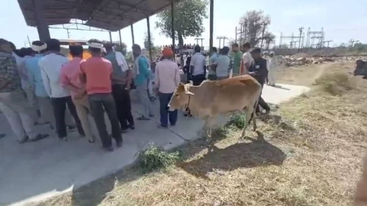 MP News On death of an elderly person in Sagar cow reached Muktidham from home