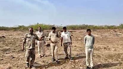 Morena News Female Cheetah Veera knocked in Chambal hunted goats of villagers
