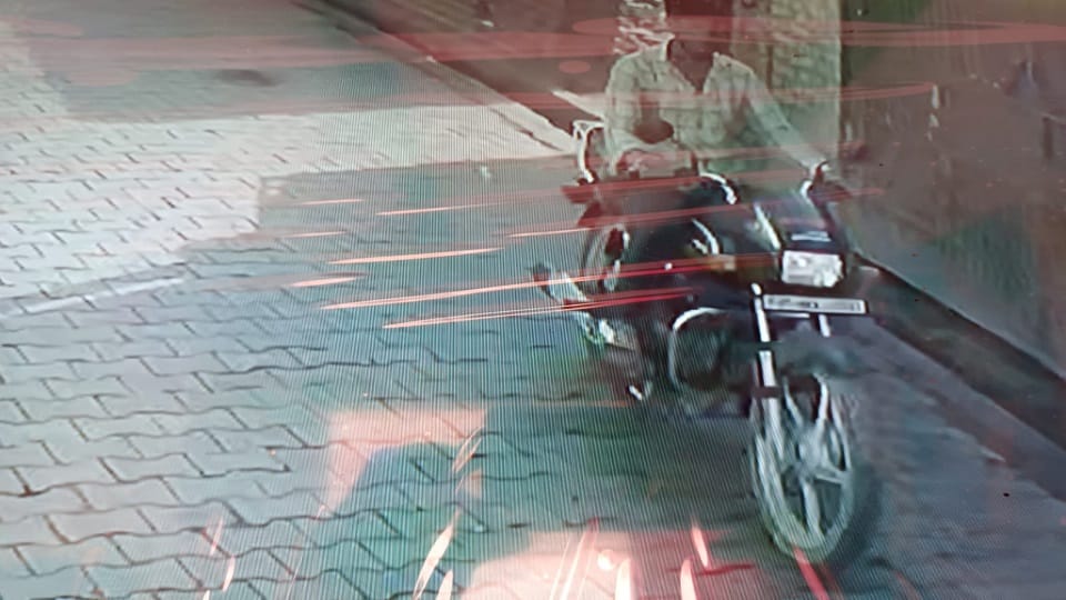 Puppy dies after being crushed by bike