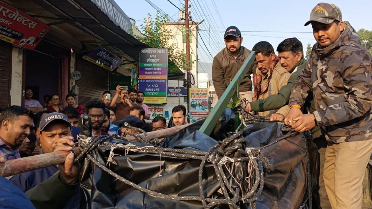 Guldar caught in cage ten hours after attack on girl Srinagar Garhwal Uttarakhand News in hindi