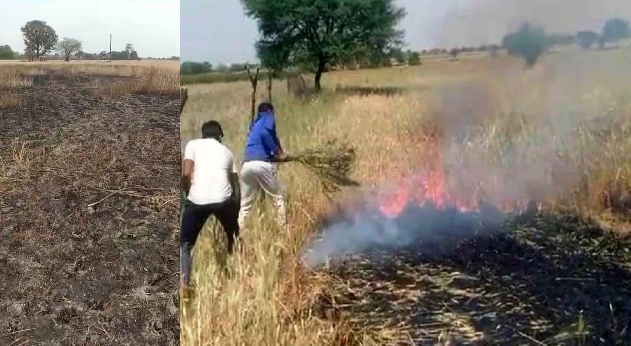 Many bighas of crops destroyed by fire, Akhilesh Yadav said  Government should immediately announce compensati