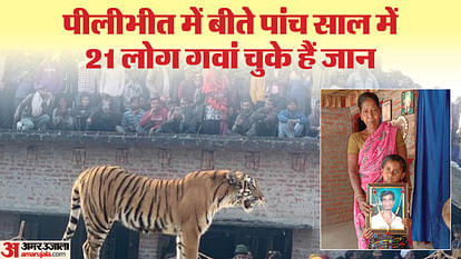 Pilibhit Lok sabha big issue of human-wildlife conflict remains buried in caste equations in elections