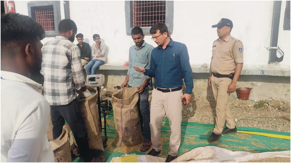 Ujjain News: Action taken in case of non-standard wheat purchase Collector suspends manager