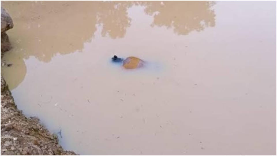 Ujjain News: Dead body of a girl missing for two days found in drain