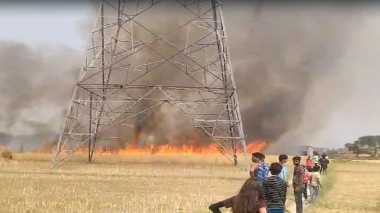 Spark came out from the transformer, five bighas of wheat crop burnt to ashes, creating panic