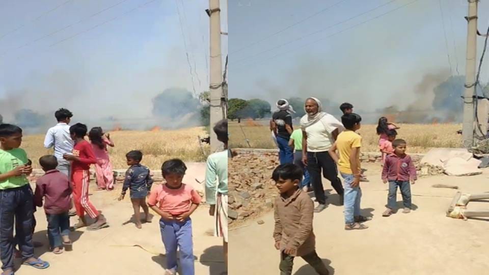 ten bighas of wheat crop got burnt due to fire caused by spark from electric wire In Mathura