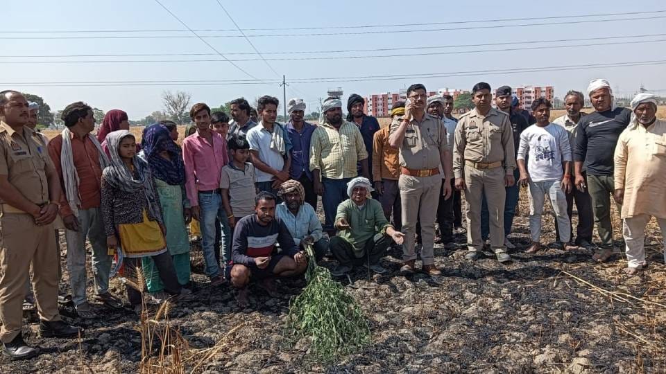three bighas of wheat crop got burnt after HT line wire broke and fell in field In Firozabad