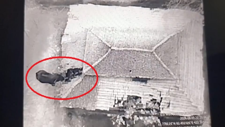 Video of elephant breaking house in Korba