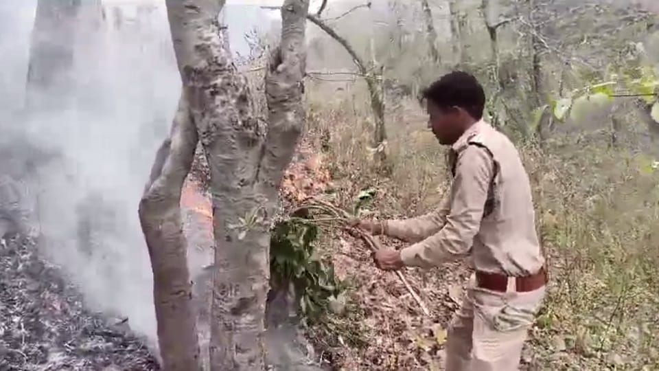 जंगल में लगी आग बुझाता जवान