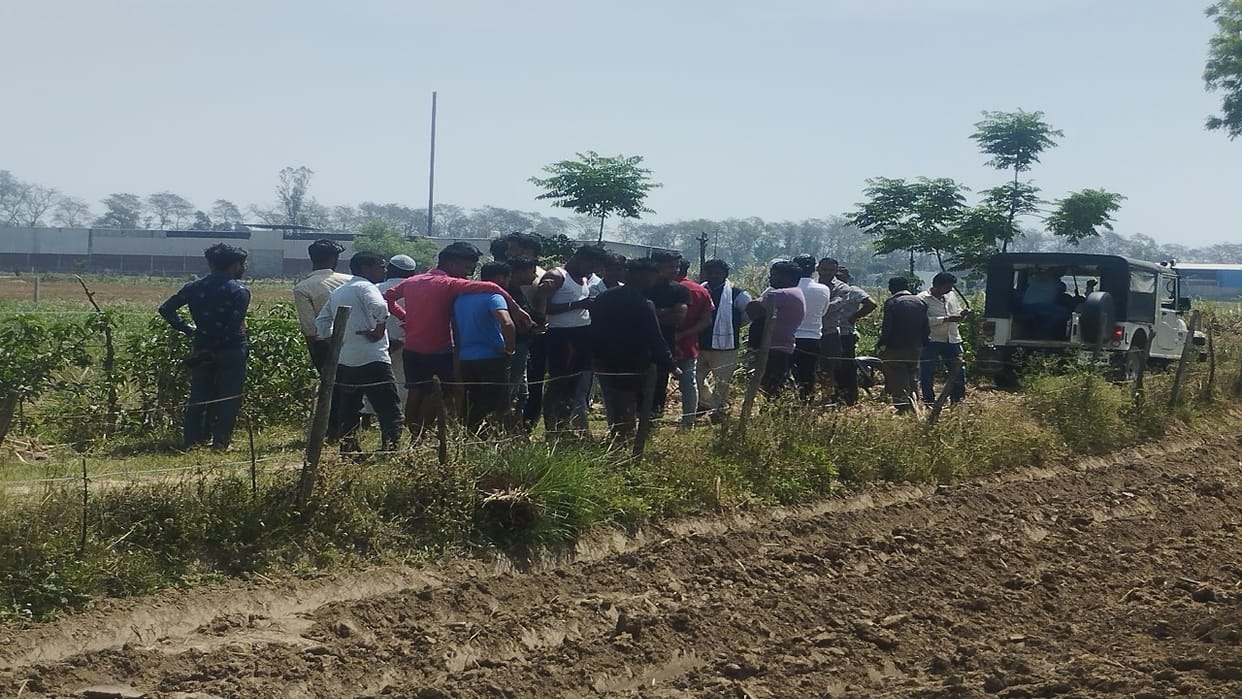 tiger attacked three including yoga teacher in lakhimpur kheri