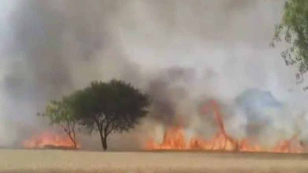 massive fire broke out the field 14 bigha crops burnt in chandauli