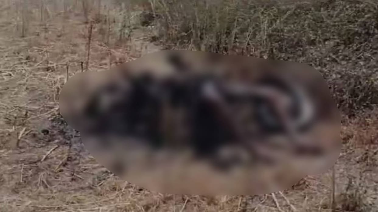 Baran News Sensation spread after burnt body of young man was found along with bike