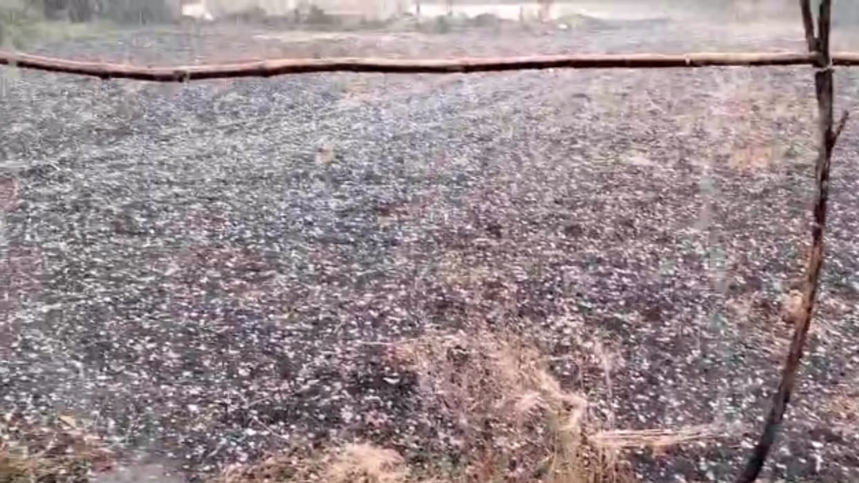 Odisha: 2 killed, 67 injured, 600 houses damaged in rain, hailstorm