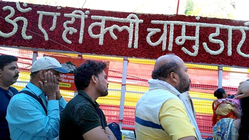 katra Maa Vaishno devi temple decorated with native and foreign flowers and colorful lights