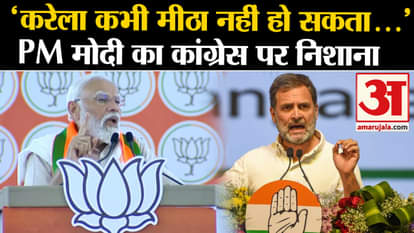 Lok Sabha Election: PM Modi targets Congress