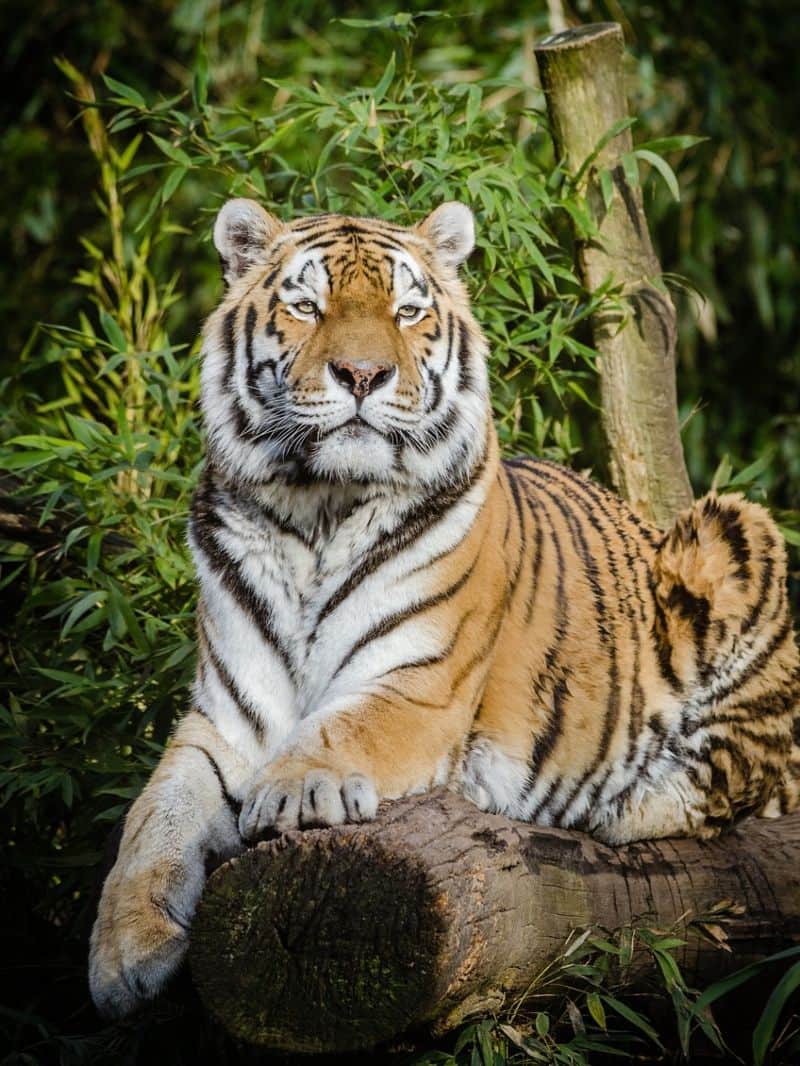 Travel Tips 2025 Top Five Travel Destination To Visit in 2025