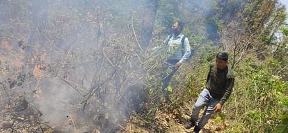 Uttarakhand  31 incidents of forest fire in the last 24 hours in chakrata and Mussoorie range