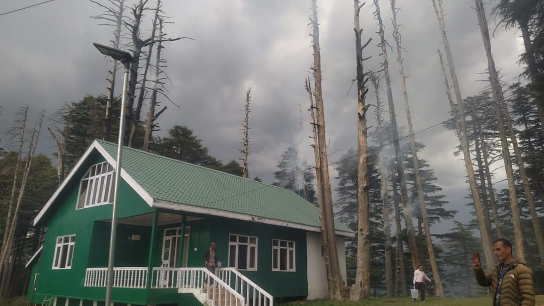 Fire broke out in Patnitop many dry cedar trees including JKTDC hut in danger fire brigade on spot