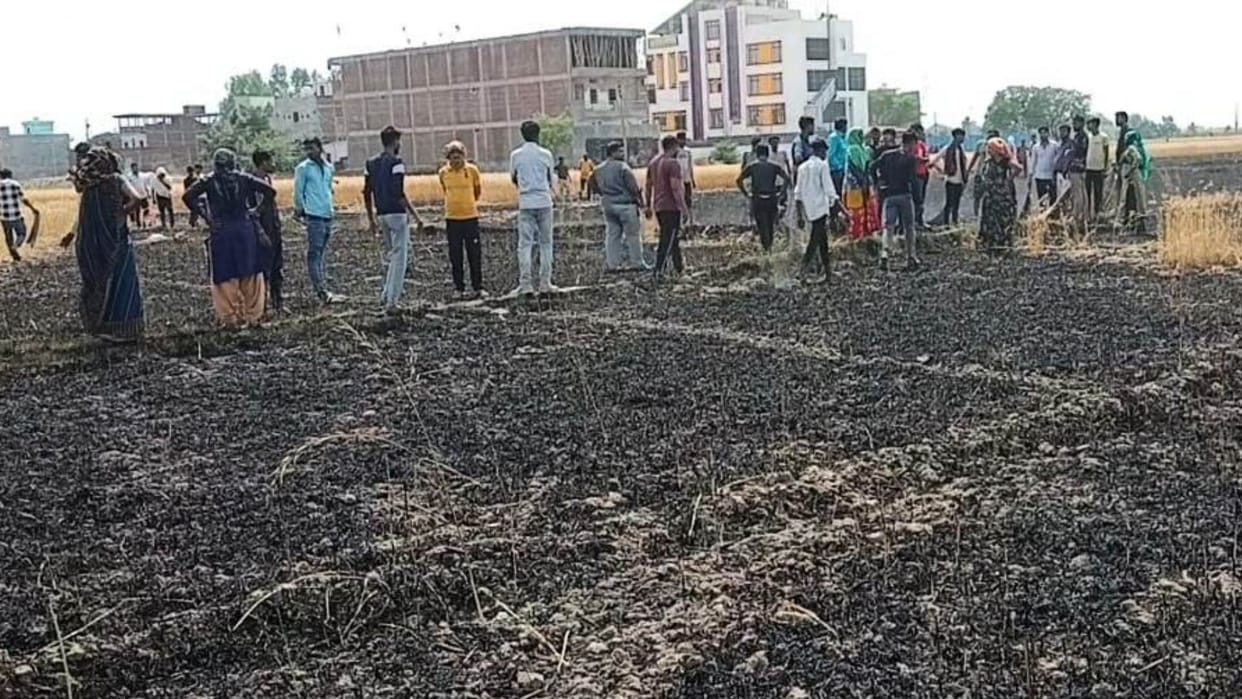fire of short circuit in ghazipur ten bigha crop ashes